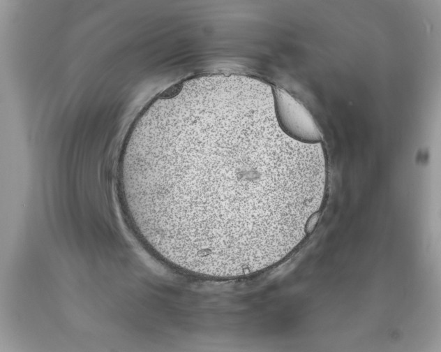 X0000089850049200707262116