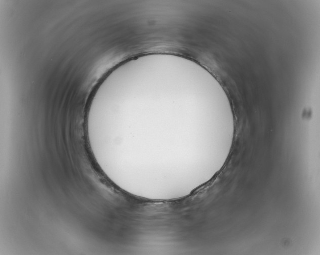 X0000089850050200707262116