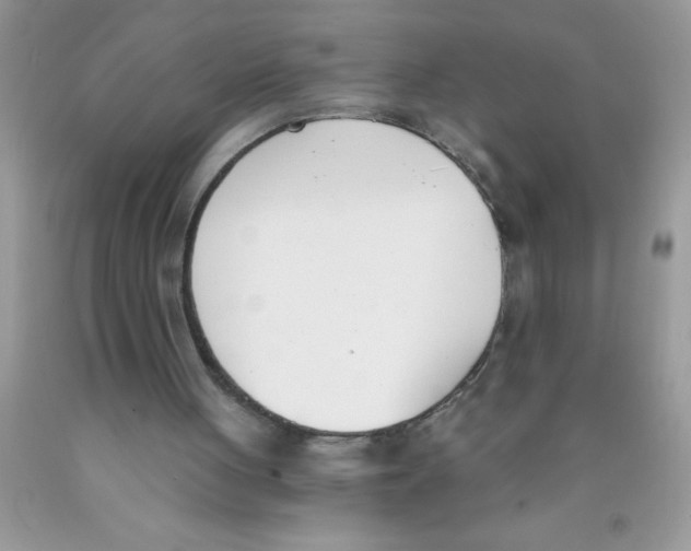 X0000089850051200707262116