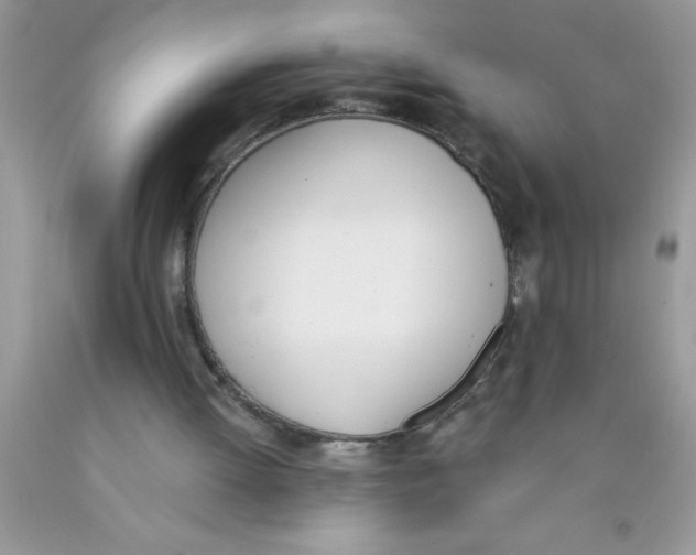 X0000089850052200707262116