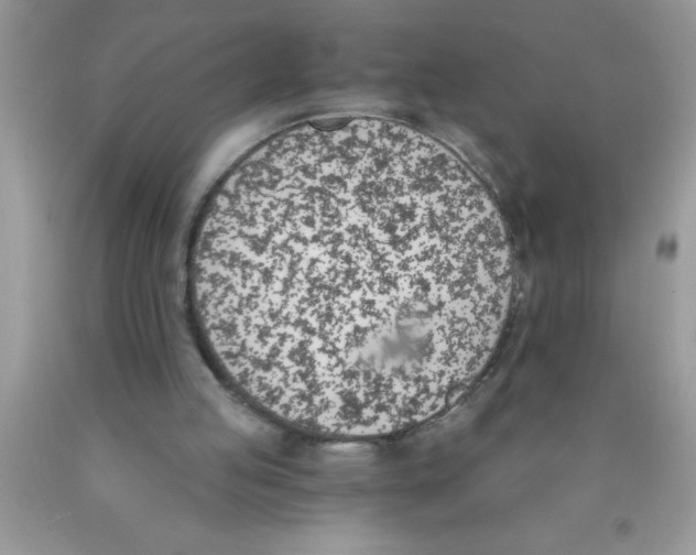 X0000089850053200707262116