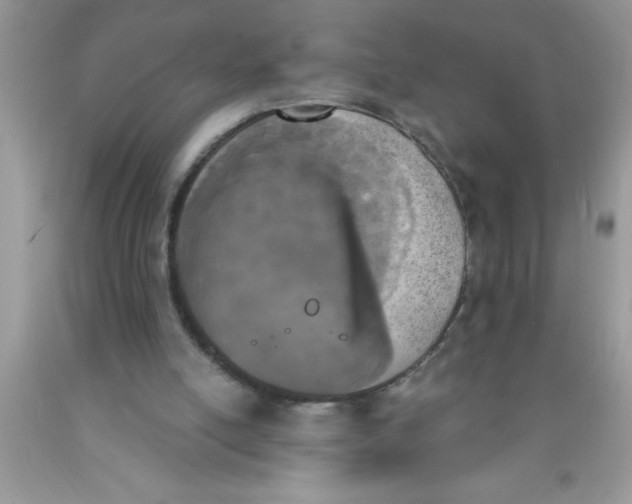 X0000089850054200707262116