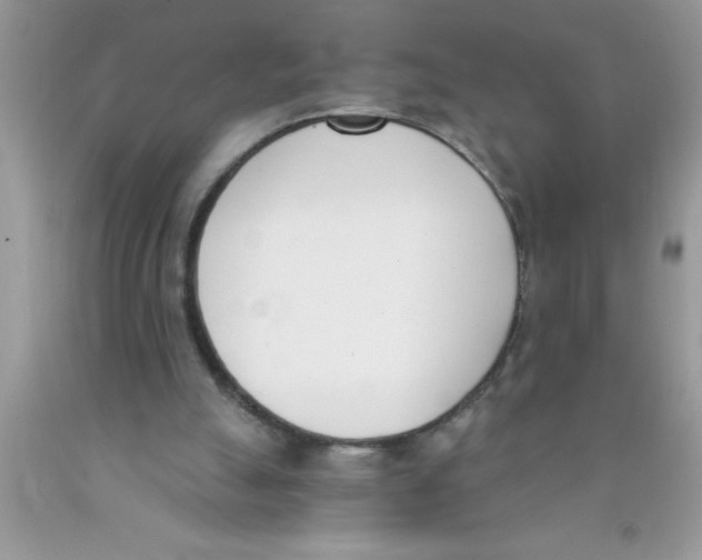 X0000089850055200707262116