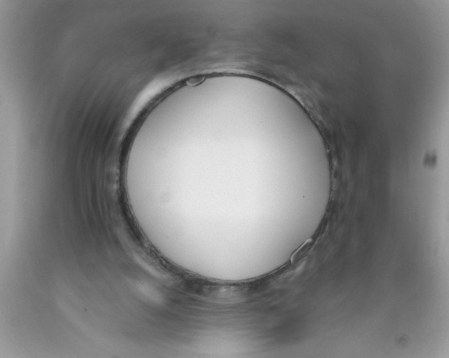 X0000089850056200707262116