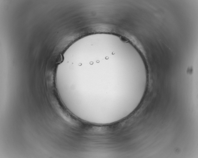 X0000089850057200707262116