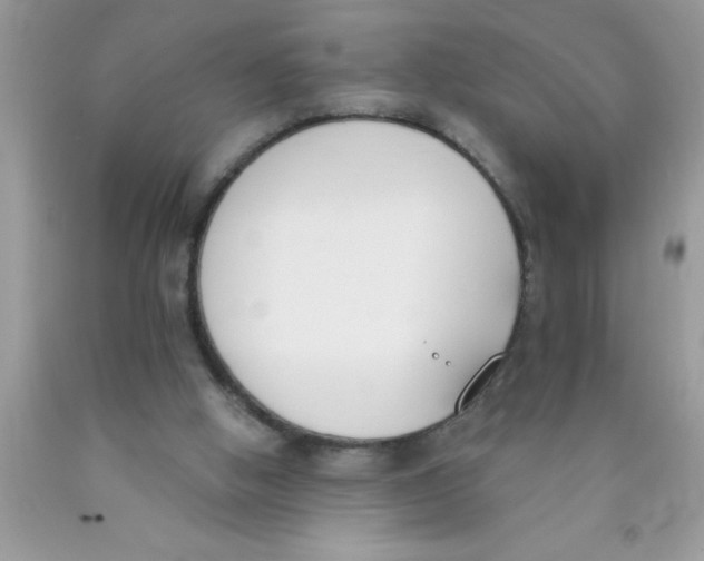 X0000089850058200707262116