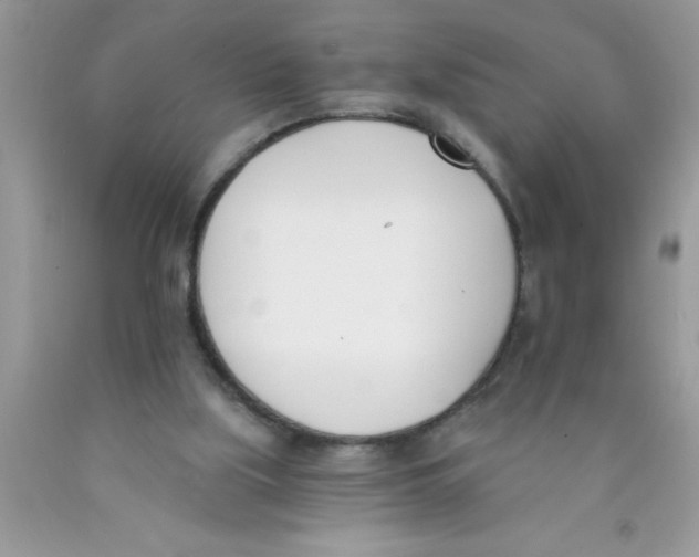 X0000089850059200707262116