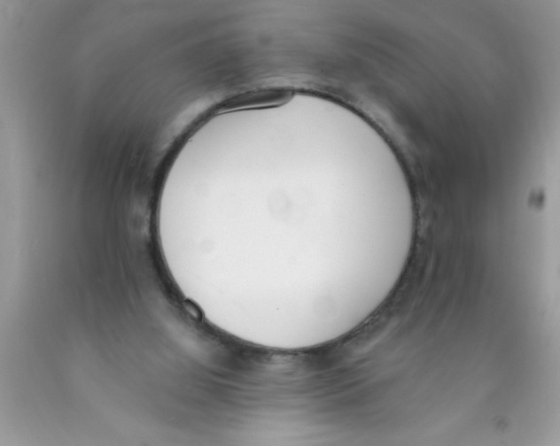 X0000089850060200707262116