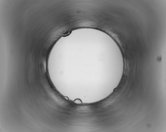 X0000089850061200707262116