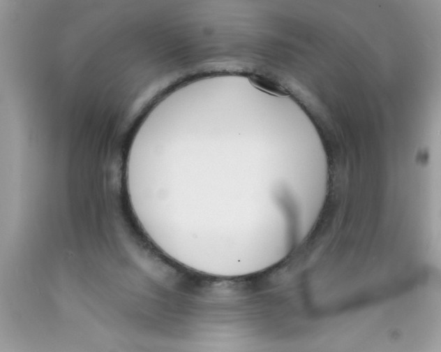 X0000089850064200707262116