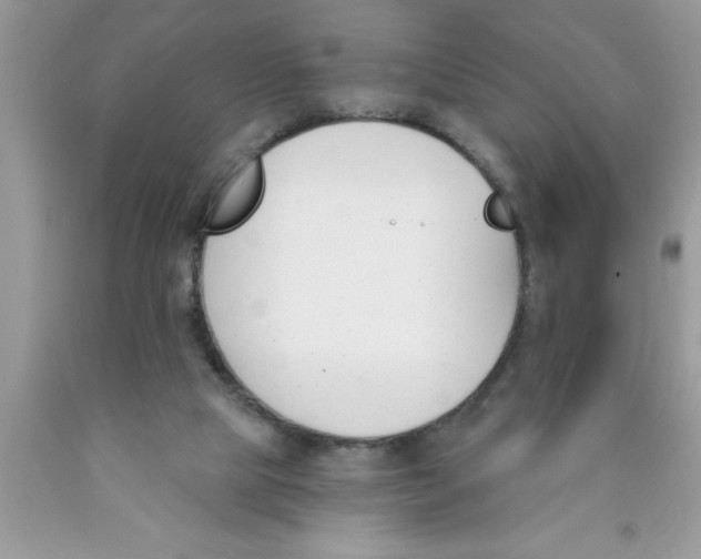 X0000089850065200707262116