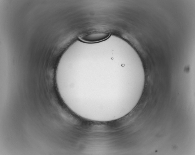 X0000089850066200707262116