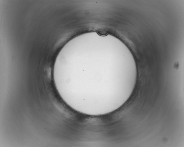 X0000089850067200707262116