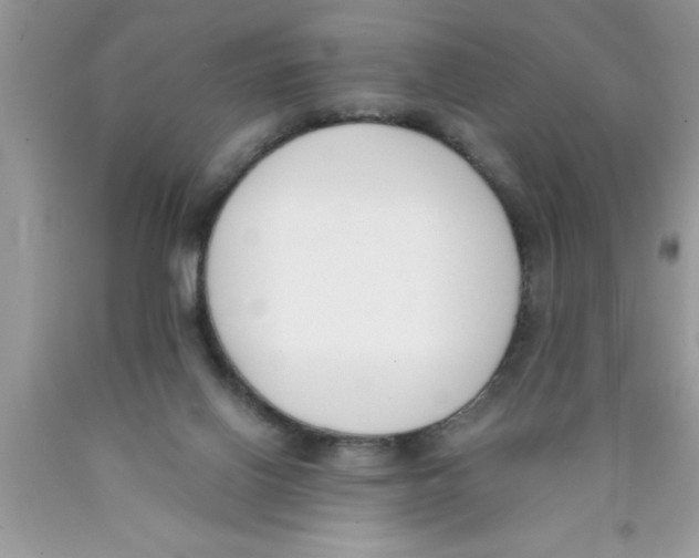 X0000089850070200707262116