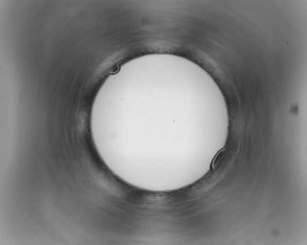 X0000089850071200707262116