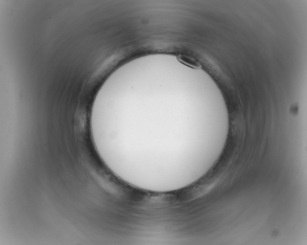 X0000089850072200707262116