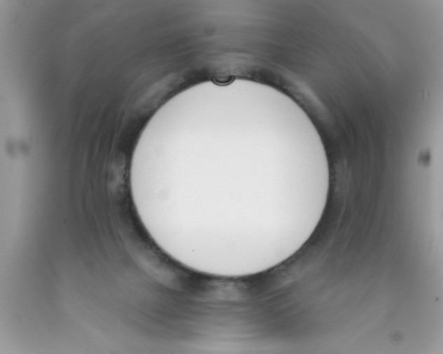 X0000089850073200707262116