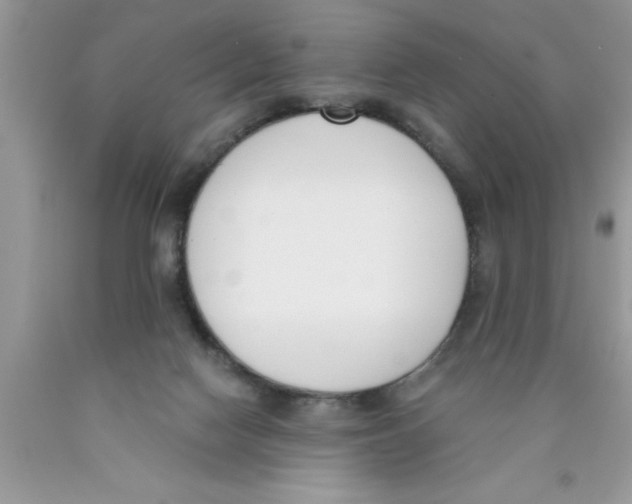 X0000089850074200707262116