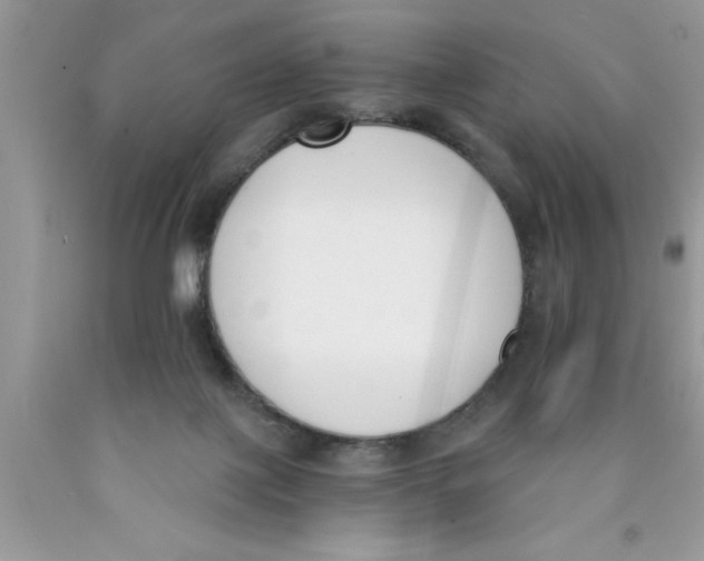 X0000089850075200707262116