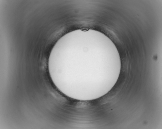 X0000089850077200707262116