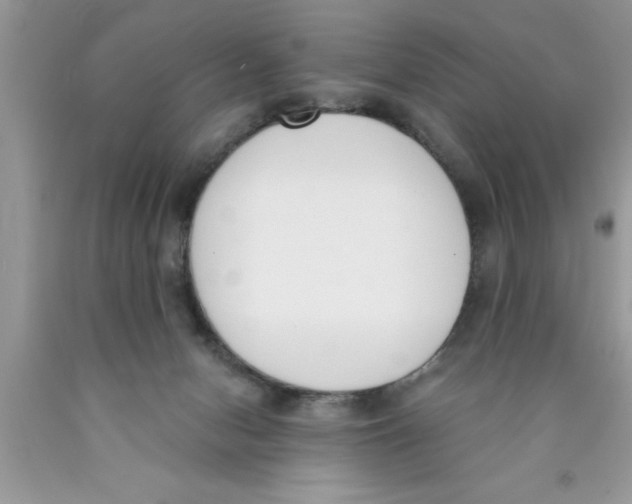 X0000089850078200707262116