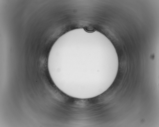 X0000089850079200707262116