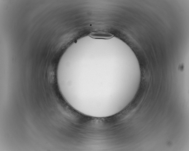 X0000089850080200707262116