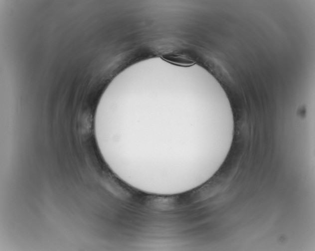 X0000089850081200707262116