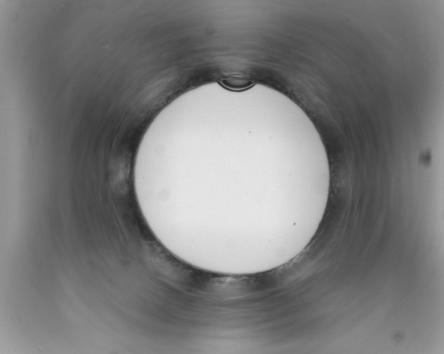 X0000089850082200707262116