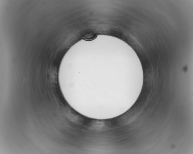 X0000089850083200707262116