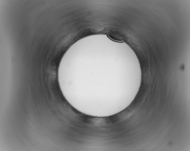 X0000089850085200707262116