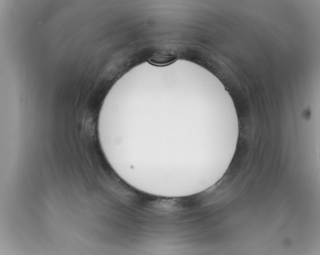 X0000089850086200707262116