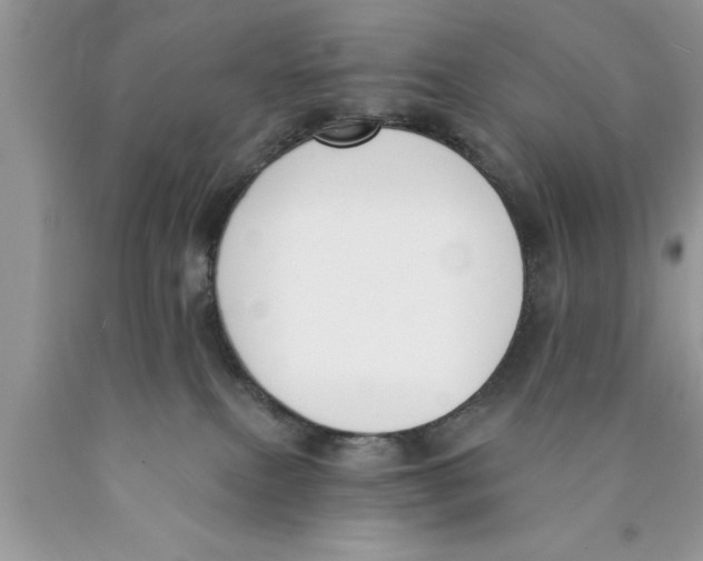 X0000089850087200707262116