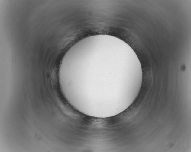 X0000089850088200707262116