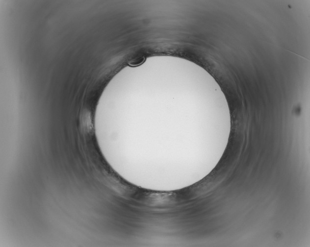 X0000089850089200707262116