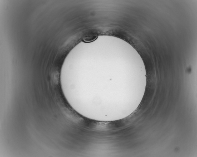 X0000089850090200707262116