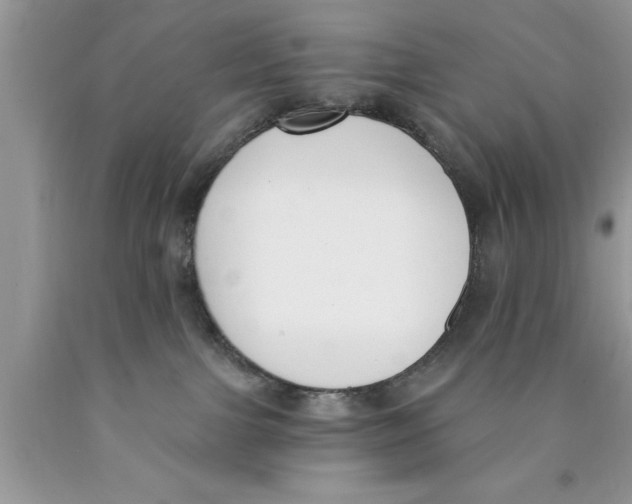 X0000089850091200707262116