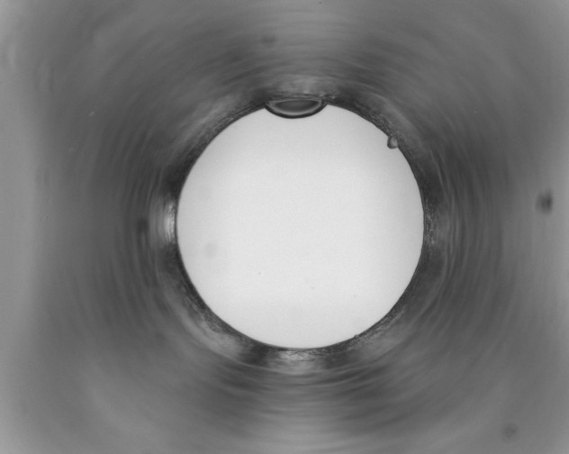 X0000089850095200707262116