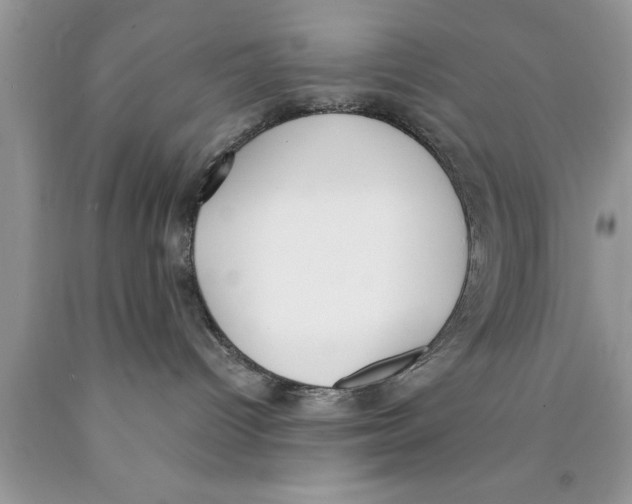 X0000089850096200707262116