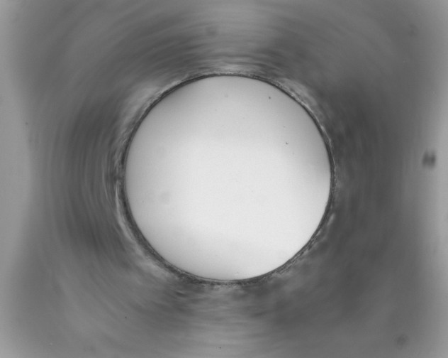 X0000089850097200707262116