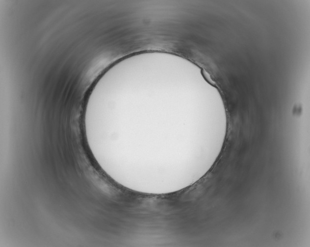 X0000089850098200707262116