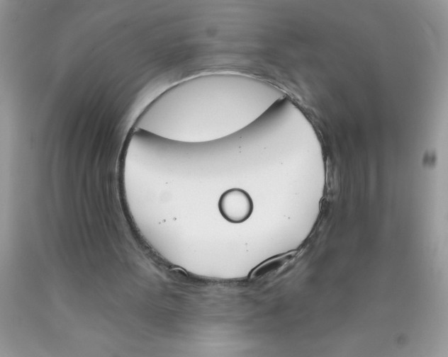 X0000089850099200707262116