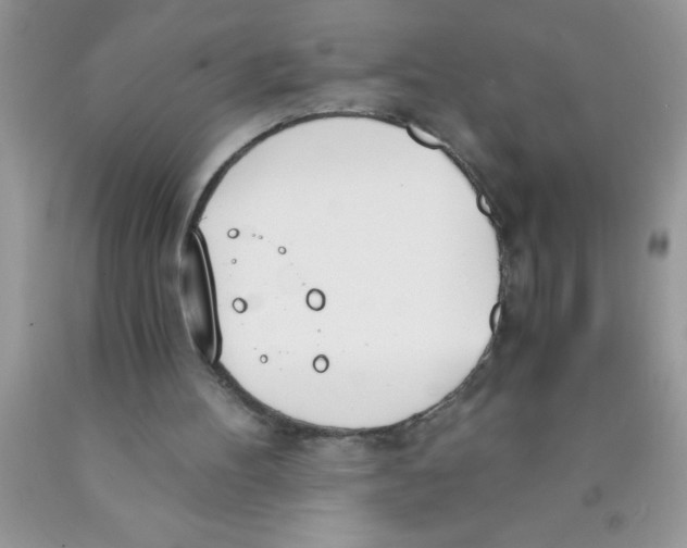 X0000089850100200707262116