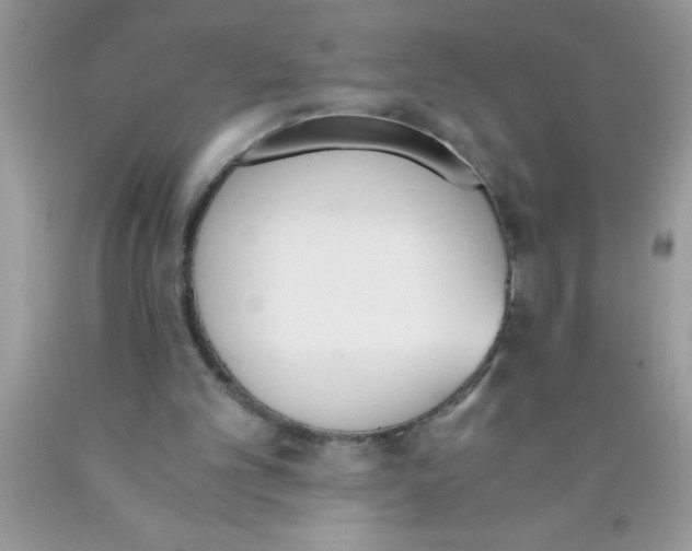 X0000089850101200707262116