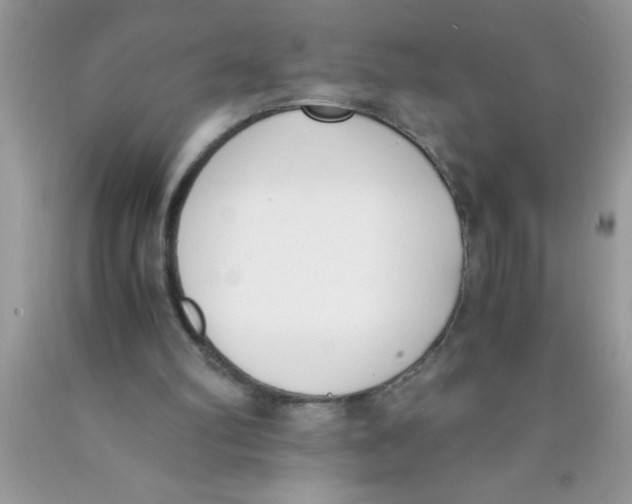 X0000089850102200707262116