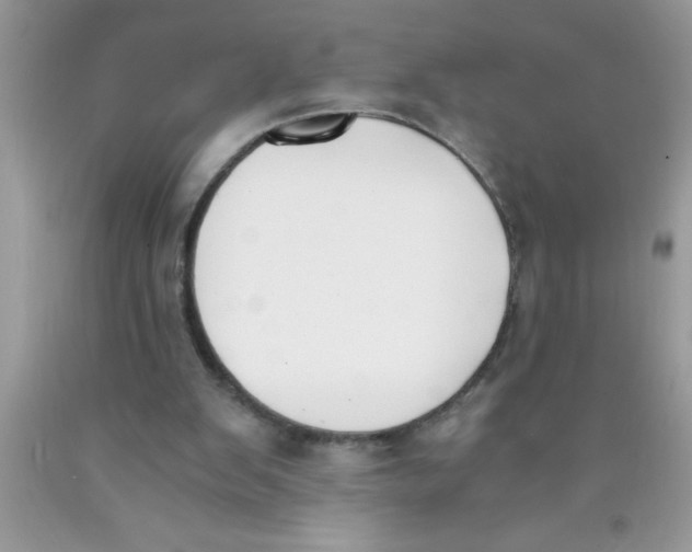 X0000089850103200707262116