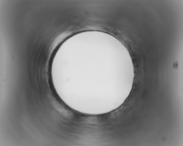 X0000089850104200707262116