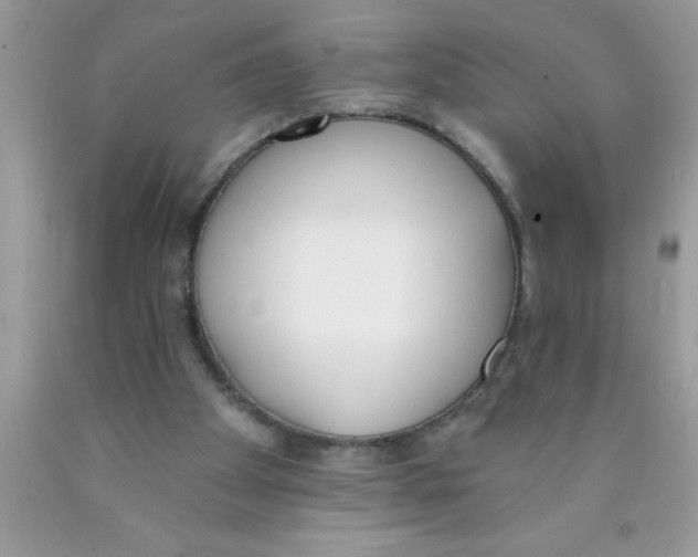 X0000089850105200707262116