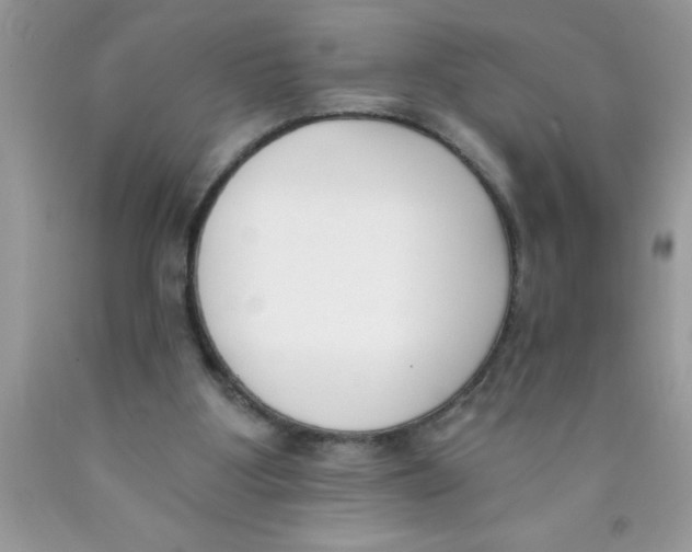 X0000089850107200707262115