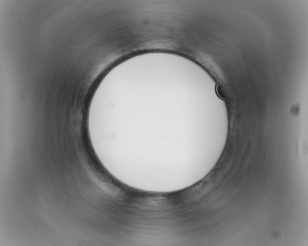 X0000089850108200707262115